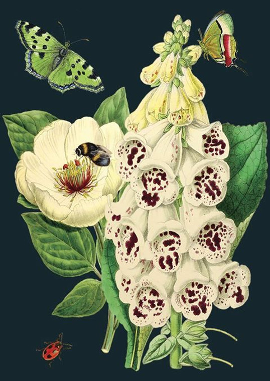 Card - Foxglove & Peony