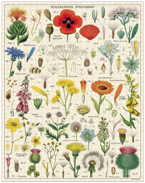 Puzzle - Native Flora & Fauna