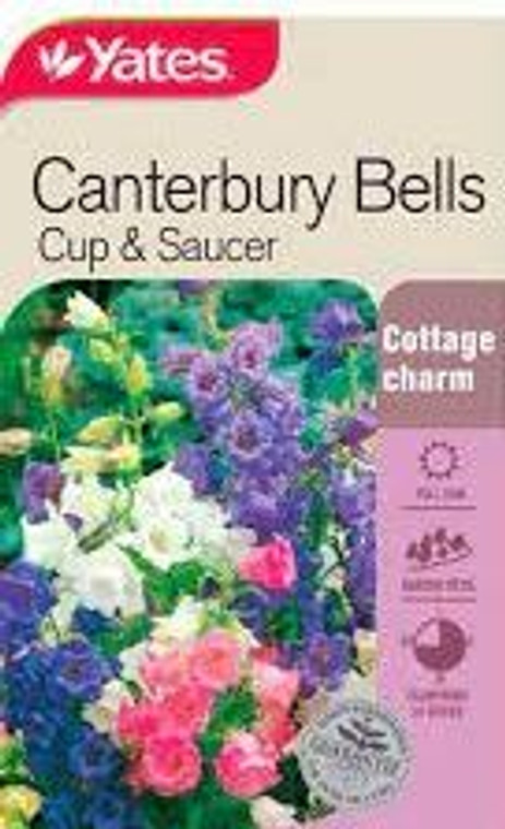Yts Canterbury Bell Cup & Sauc