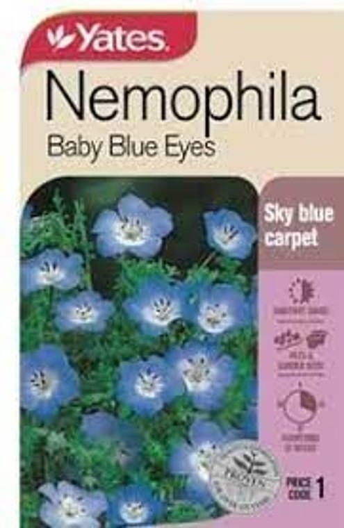 Yts Nemophilla Baby Blue Eye -