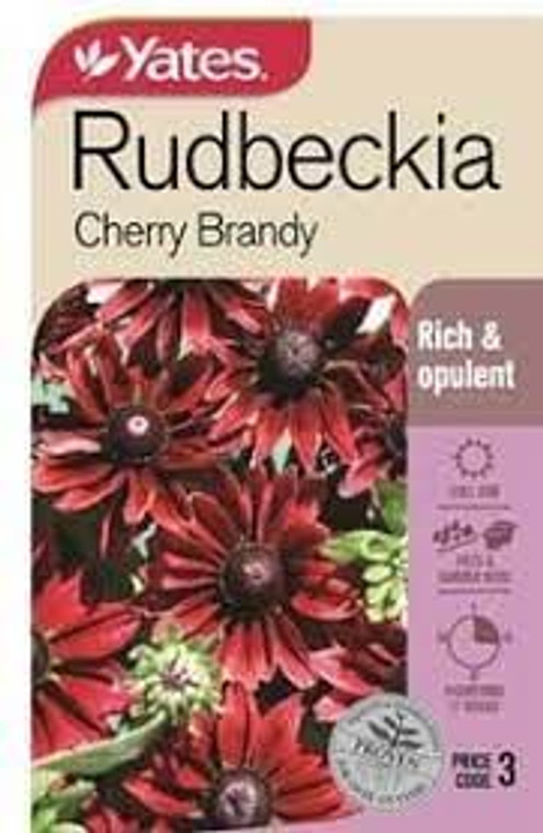 Yts Rudbeckia Cherry Brandy -