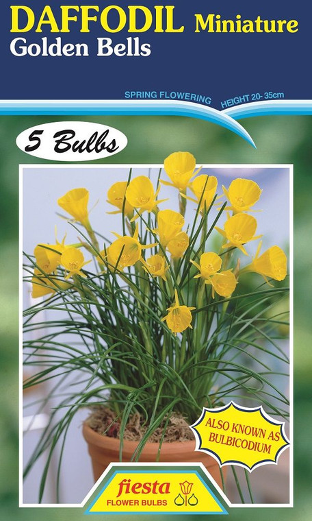 Daffodil 'Golden Bells' 5