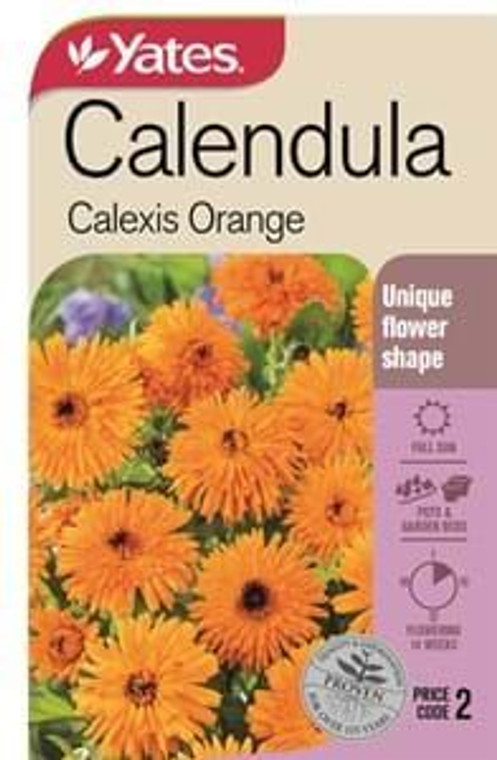 Yts Calendula Calexis Orange -