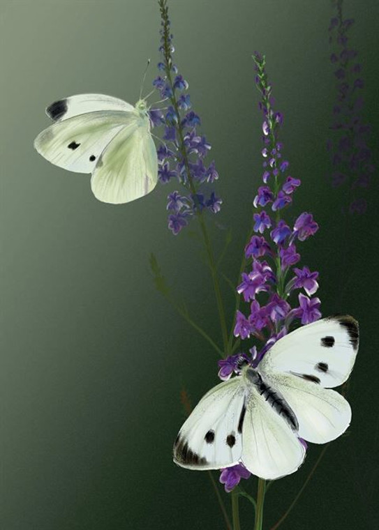 Card - Large White Butterflies