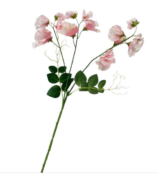 Flower Stem - Sweetpea Pink