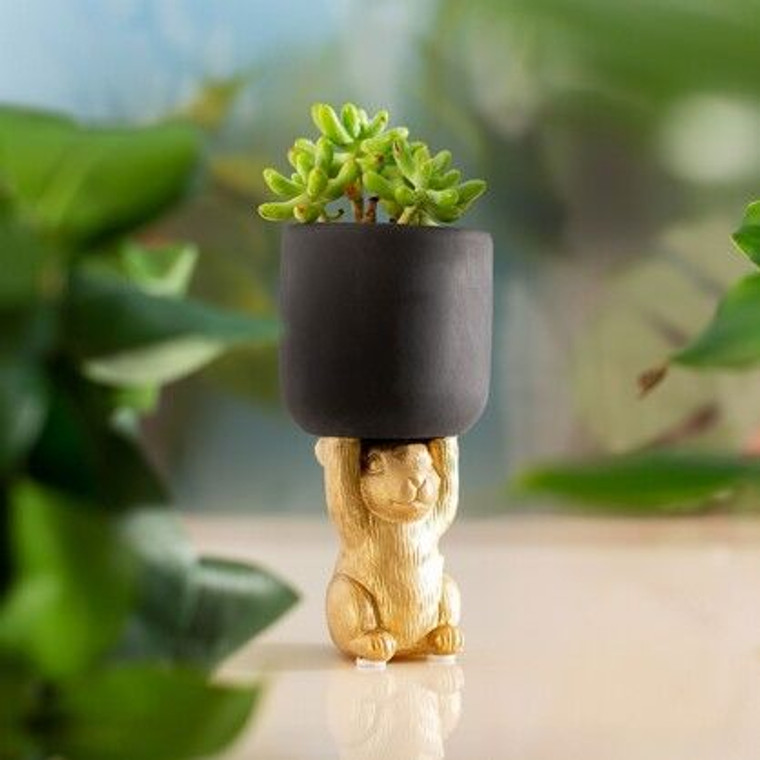 Planter - Golden Rabbit