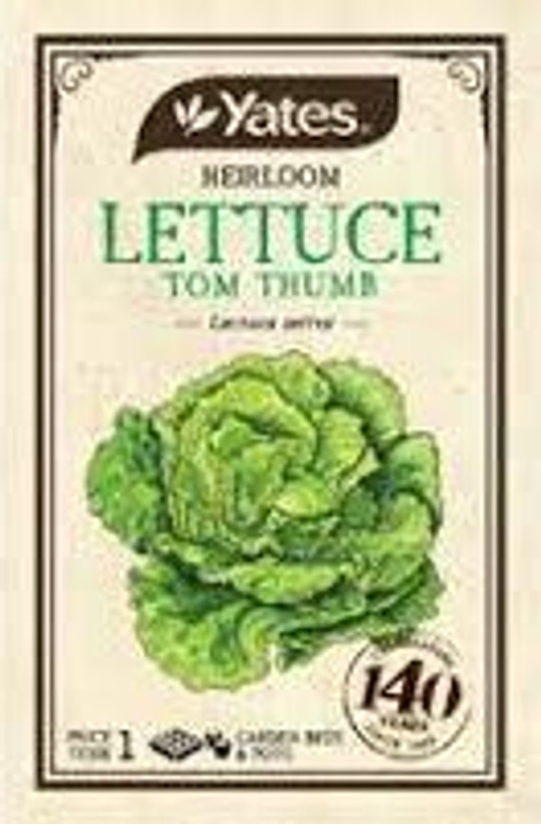 Yts Heirloom Lettuce Tom Thumb