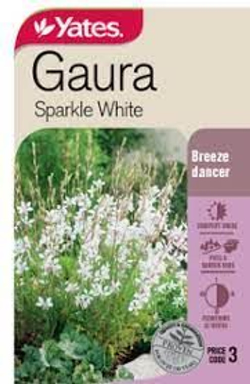 Yts Gaura Sparkle White - 3