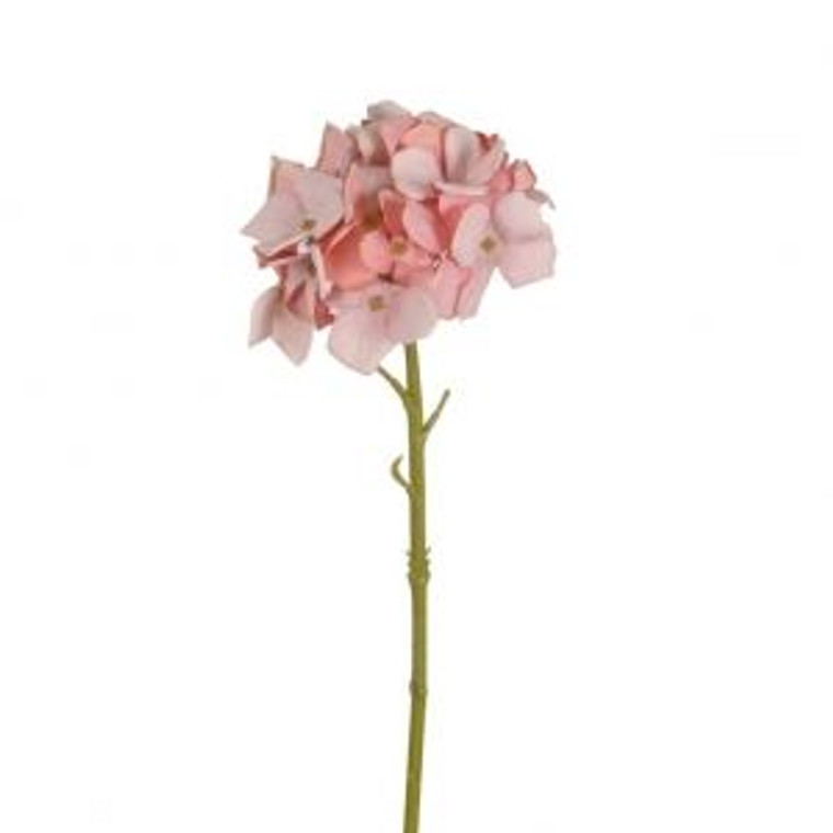 Hydrangea - Petite Rose Pink