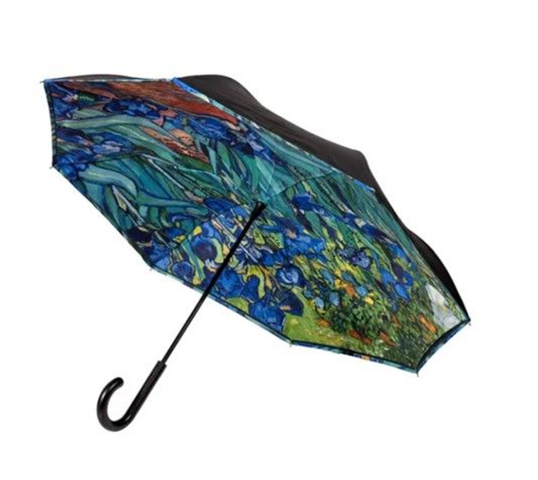 Umbrella - Iris