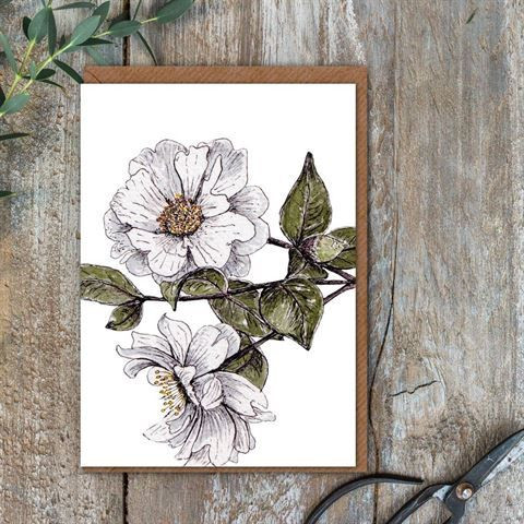 Card - Clematis (113696) (100679)