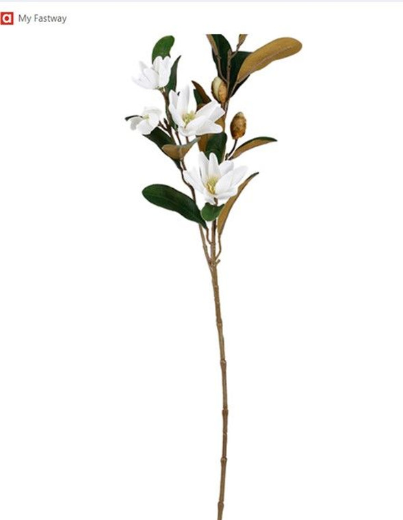 Foliage - Magnolia White 61cm