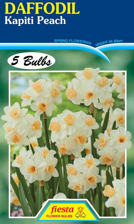 Daffodil 'Kapiti Peach' 5