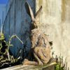 Statue - Walnut Hare Standing