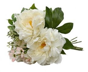 Peony Grand Bundle - Cream Pin
