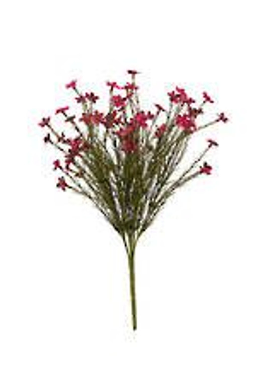 Wax Flower - Magenta Bush 40cm