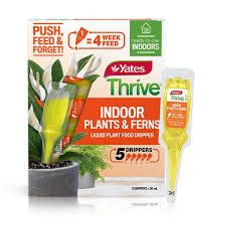 Yts Thrive Indoor Plants Dripp