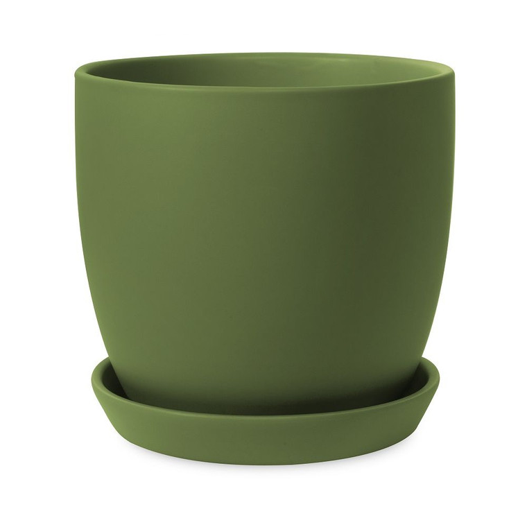 Pot - Tulip Matt Kiwiberry 17c