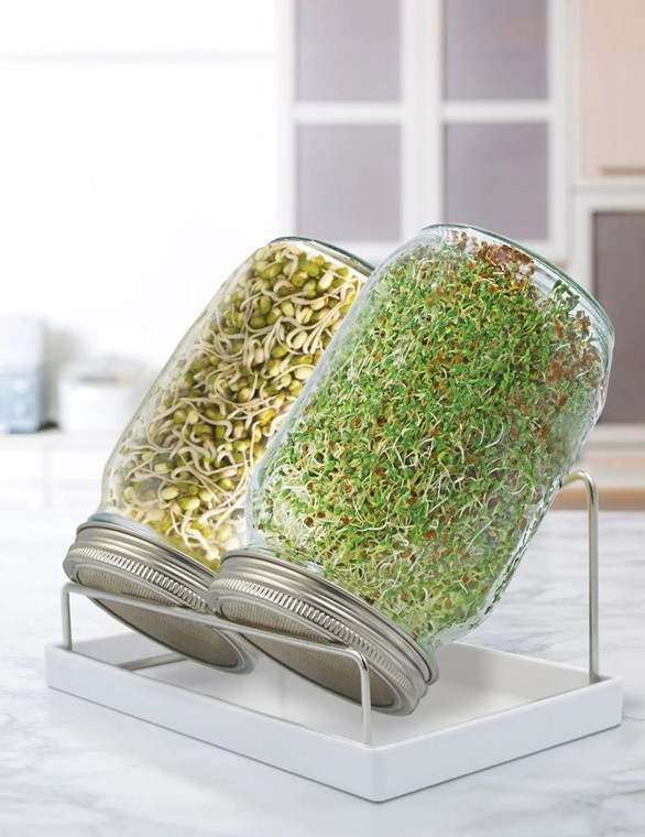 MF Twin Sprouter Jars