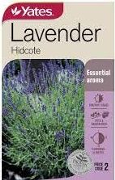 Yts Lavender Hidcote - 2