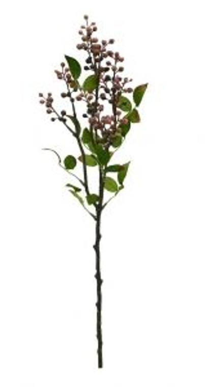 Cottage Berry - Mulberry