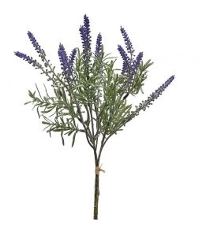 Tuscan Lavender Bush
