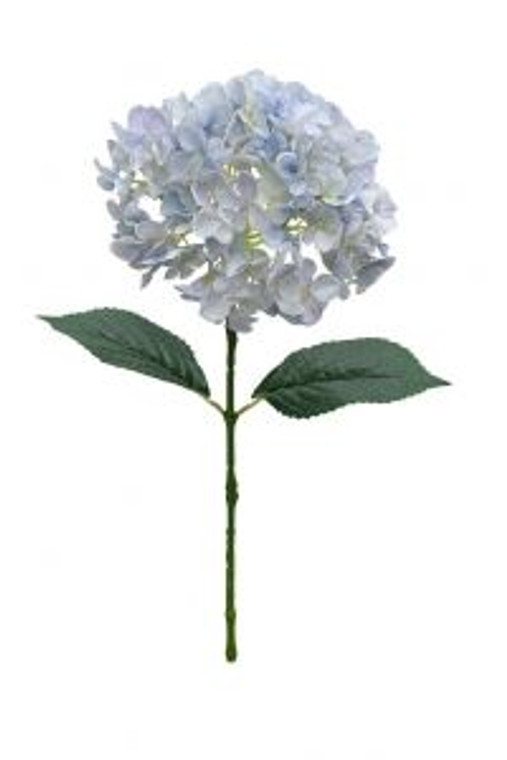 Hydrangea - Eton Baby Blue