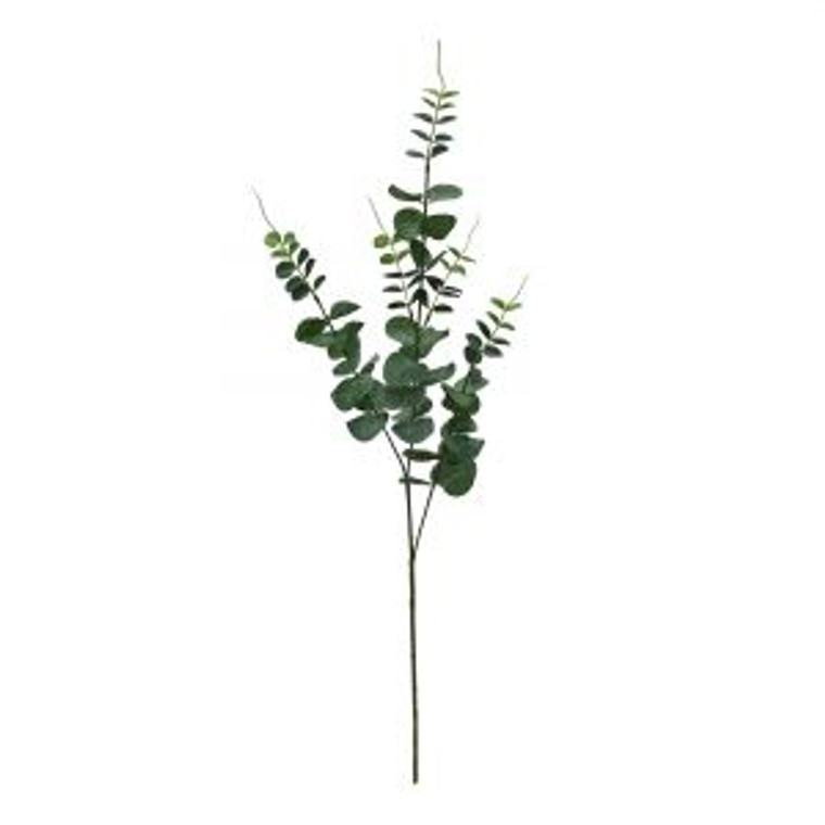 Foliage - Green River Gum