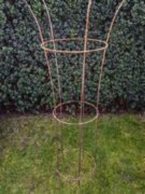 Stakes - Dahlia Trumpet Small