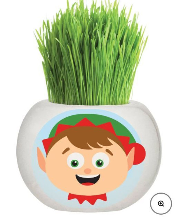 Grass Head - Christmas Collect