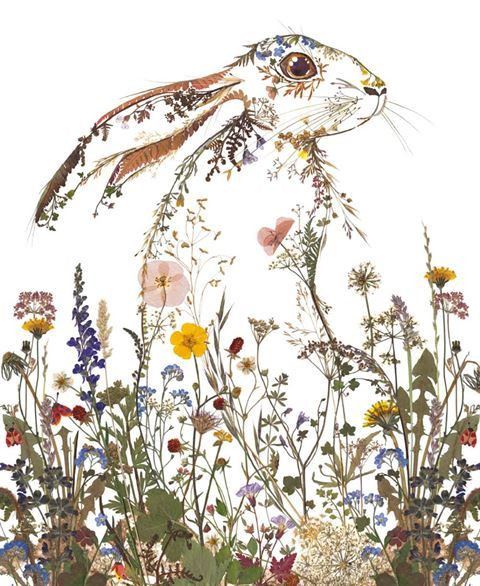 Card - Wildflower Hare