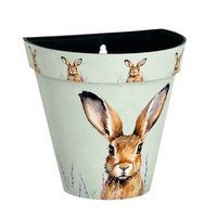 Wall Pot - Zest Hare