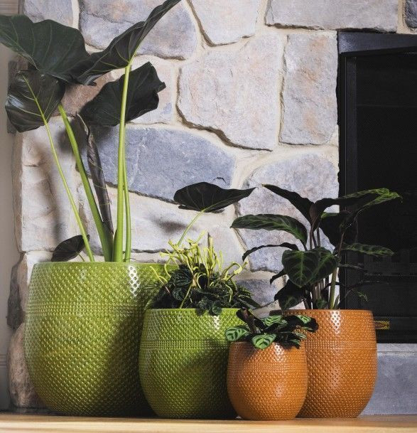 Pot - Aya Terracotta S