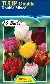 Tulip - Double Mixed 10