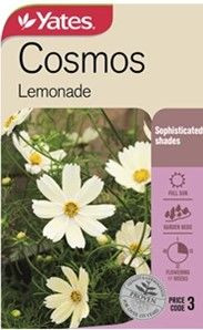 Yts Cosmos Lemonade - 3