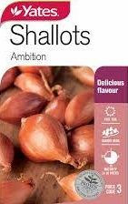 Yts Shallots Ambition - 3