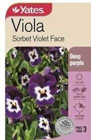 Yts Viola Sorbet Violet - 3