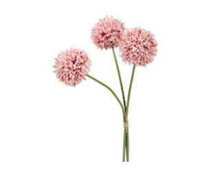 Foliage - Chrysanthemum Pink