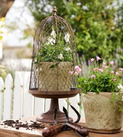 Cloche - Maison Garden