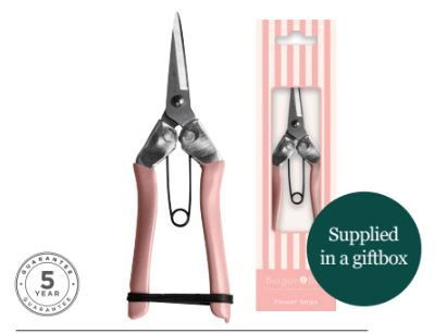 Snips - Fruit & Flower Blush