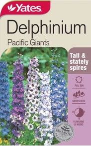 Yts Delphinium Pacific Giants