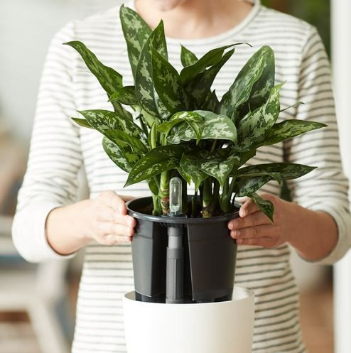 Self Watering Insert 13cm