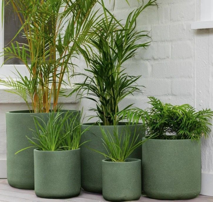 Pot - Vellum Cylinder Green XS
