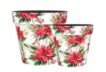 Pot - Zest Poinsettia 18cm