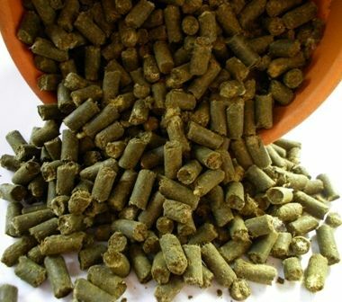 Plant Nutrition Plant Nutrition