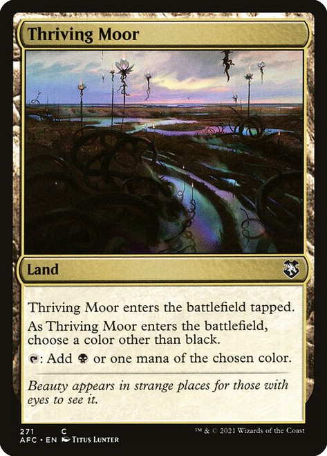 Thriving Moor (271) (AFC)