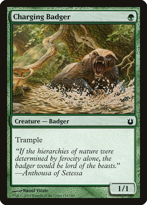 Charging Badger (118) (BNG)