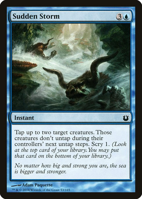 Sudden Storm (53) (BNG)