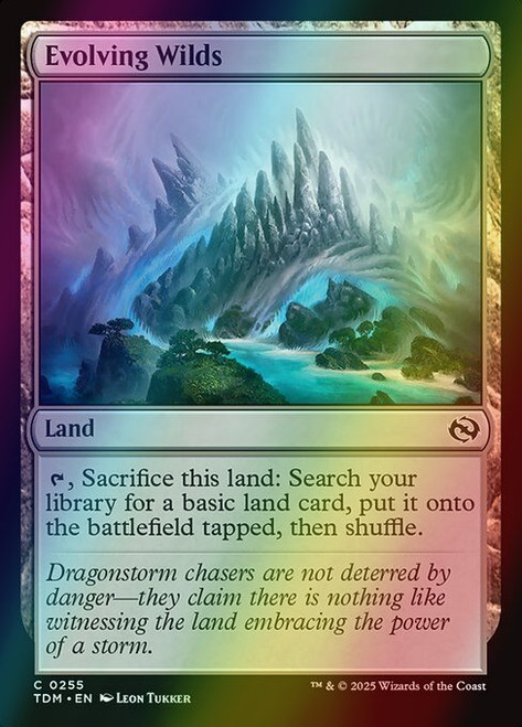 Evolving Wilds (255) (foil, TDM)