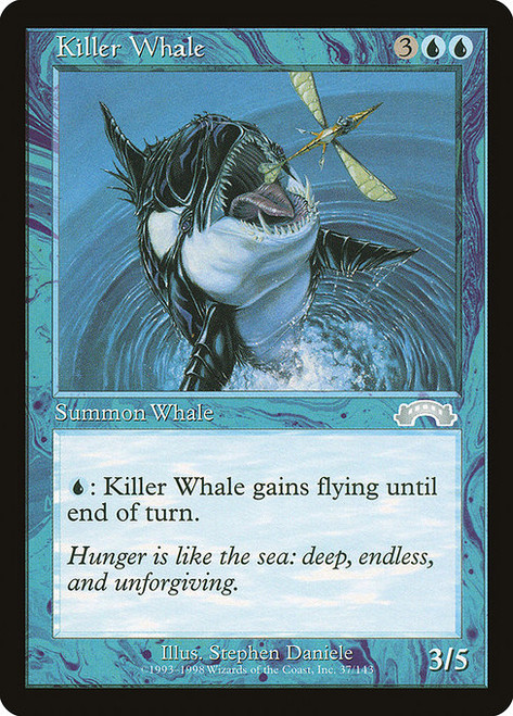 Killer Whale (37) (EXO)